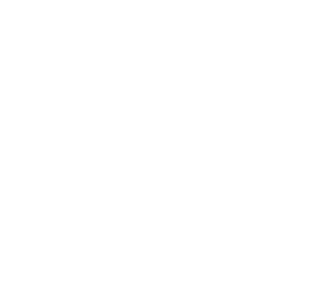 Savant Logo